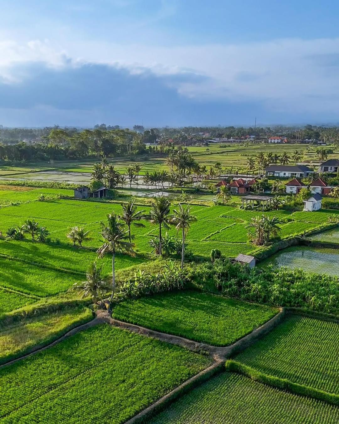 Ikada Villa By Pramana Villas Ubud Buitenkant foto