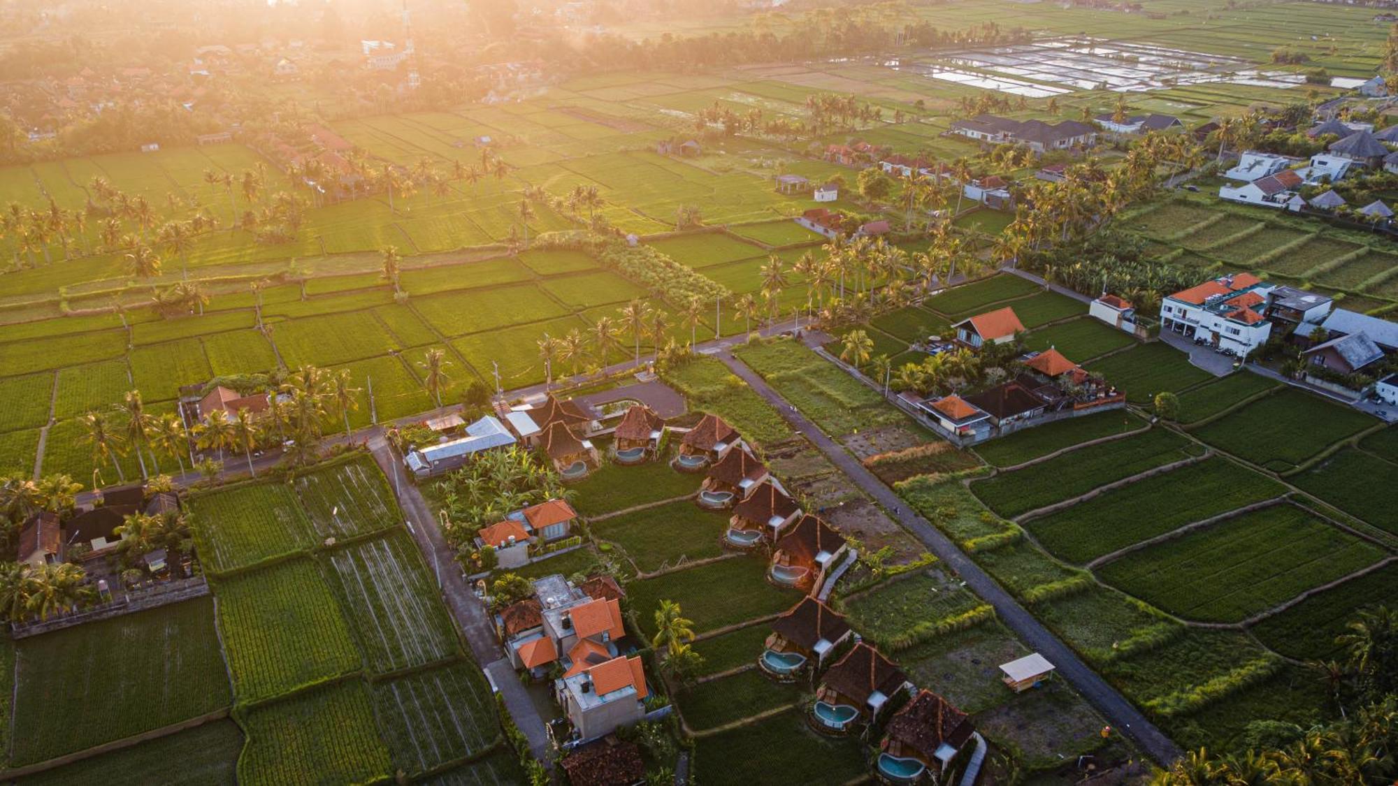 Ikada Villa By Pramana Villas Ubud Buitenkant foto
